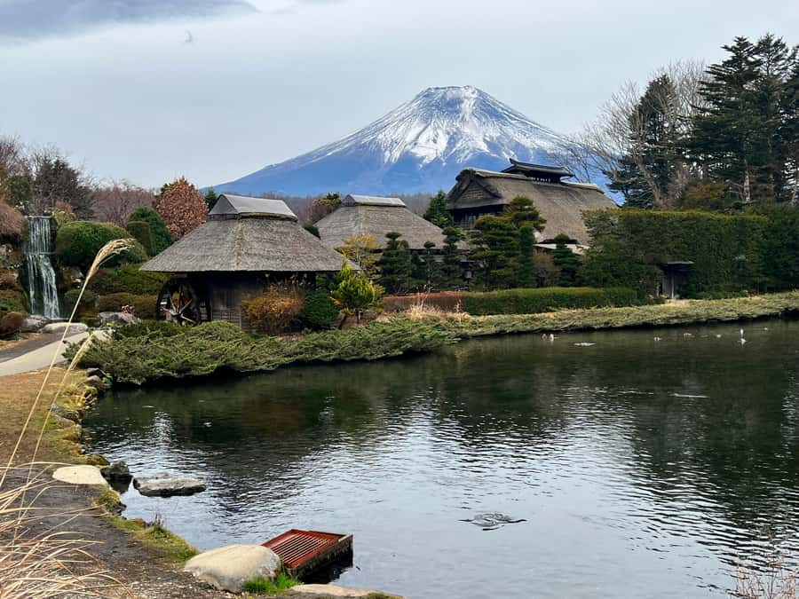 From Tokyo: Mount Fuji and Hakone Private Day Trip - Why a Mount Fuji and Hakone private day trip is such a smart play