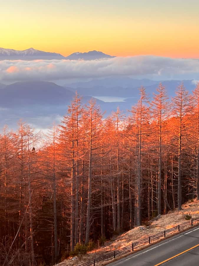 From Tokyo: Mount Fuji and Hakone Private Day Trip - Subaru 5th Station and Tenjosan Komitake Shrine: the Fuji payoff