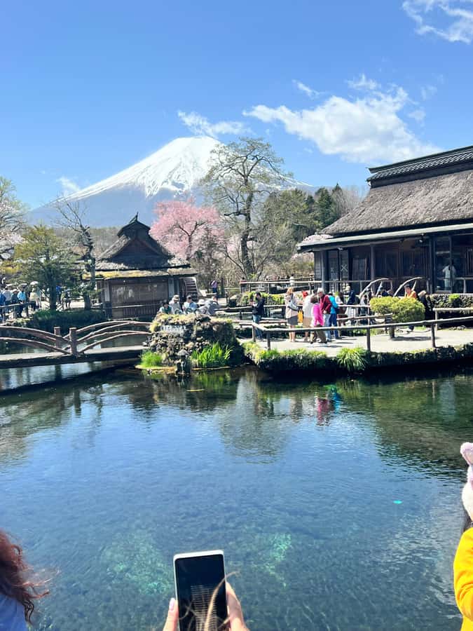 From Tokyo: Mount Fuji and Hakone Private Day Trip - Chureito Pagoda and Fuji Sengen Shrines: when culture becomes the view