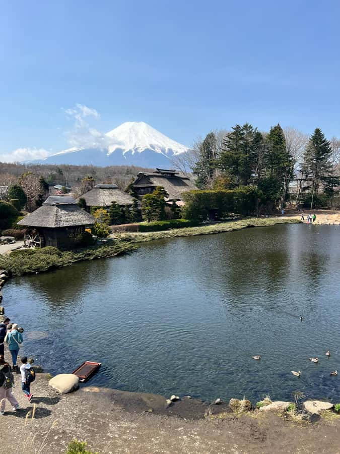 From Tokyo: Mount Fuji and Hakone Private Day Trip - Oshino Hakkai ponds: the calm Fuji reminder