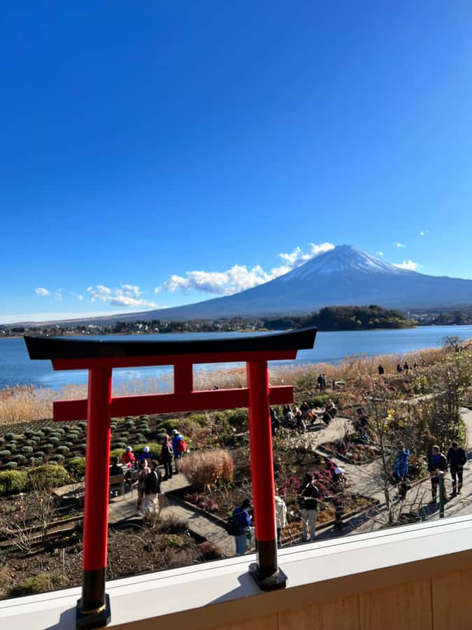 From Tokyo: Mount Fuji and Hakone Private Day Trip - Hakone’s Owakudani area and hot-spring volcanic vibes