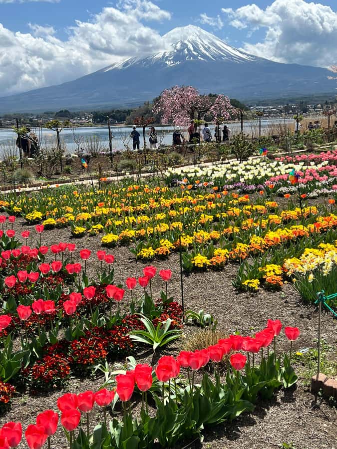 From Tokyo: Mount Fuji and Hakone Private Day Trip - Lake Ashi: the optional pirate cruise that makes Hakone feel cinematic