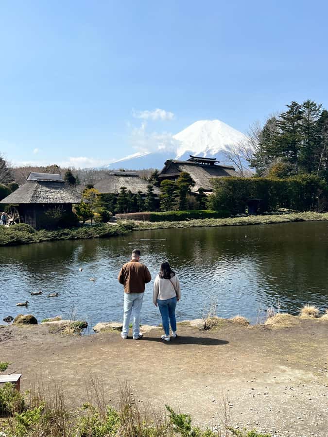 From Tokyo: Mount Fuji and Hakone Private Day Trip - Hakone ropeway and Komagatake cable car: choose it based on energy