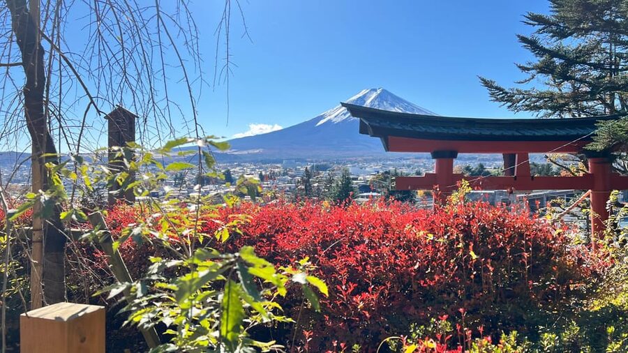 From Tokyo MOUNT FUJI and Lake Kawaguchi-ku Full Day Tour - Lunch with Fuji views: plan for meals and possible entrance fees