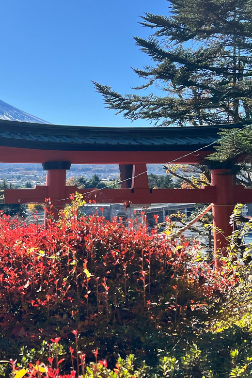 From Tokyo MOUNT FUJI and Lake Kawaguchi-ku Full Day Tour - Timing and pacing: about half an hour per stop, use it wisely