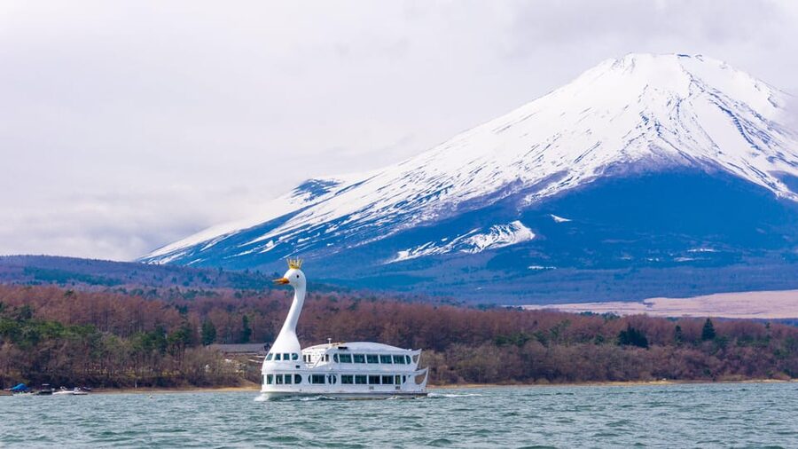 From Tokyo: Mount Fuji, Cruise and Sake Tour - Key points to know before you go