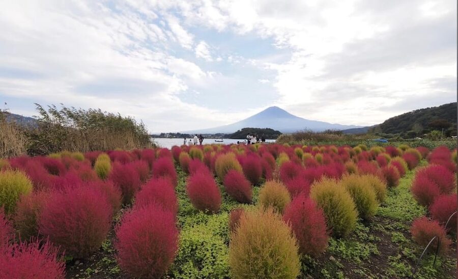 From Tokyo: Mount Fuji Full Customized Tour English Guide - Lake Kawaguchiko Choices: Speed Boat, Ropeway, or Cruise Ship