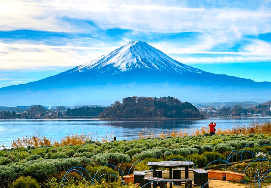 From Tokyo: Mount Fuji Full Day Customizable Private Tour - Fuji Five Lakes on foot: Lake Kawaguchiko and Oishi Park