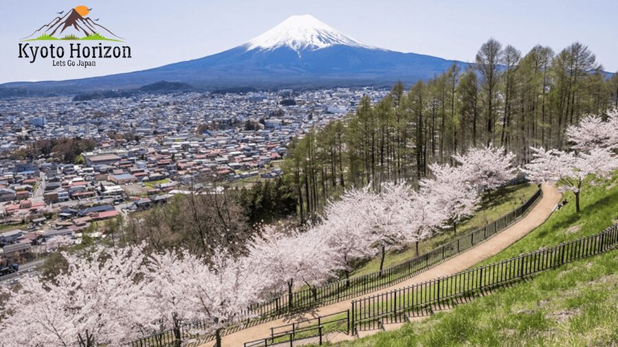 From Tokyo: Mount Fuji Full Day Customizable Private Tour - Chureito Pagoda: classic framing, seasonal timing, and crowds