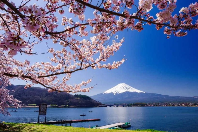 From Tokyo: Mount Fuji Full Day Private Customizable Tour - Private Fuji Logistics That Feel Effortless