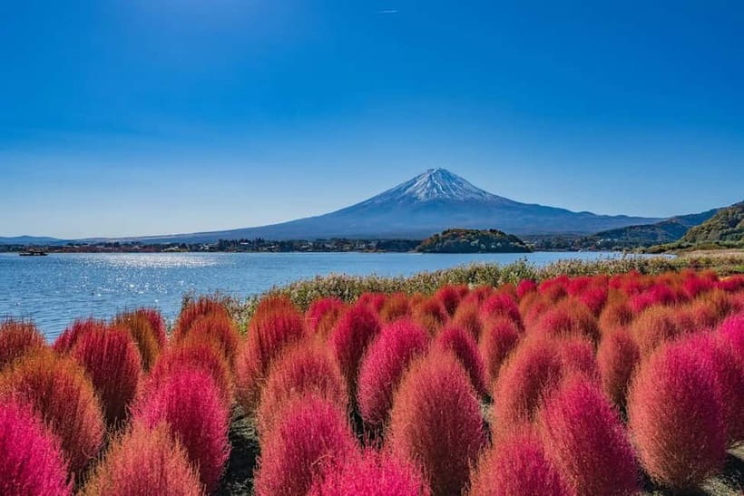 From Tokyo: Mount Fuji Full Day Private Customizable Tour - Lake Kawaguchiko and Oishi Park: Your First Real Fuji Moment