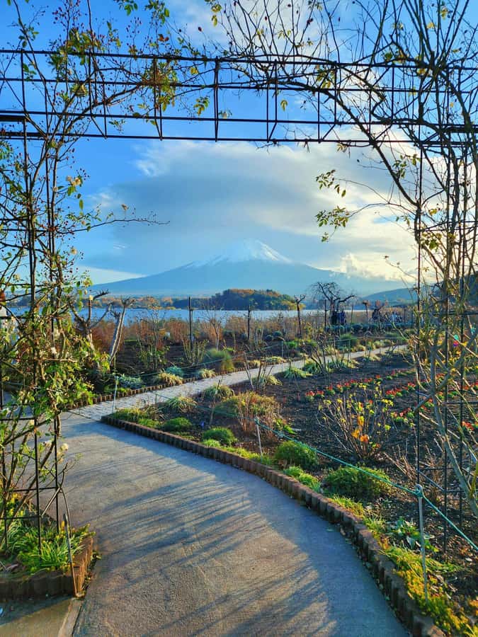 From Tokyo: Mount Fuji Full-Day Private Tour (Customizable) - Value check: is $390 per group a good deal?
