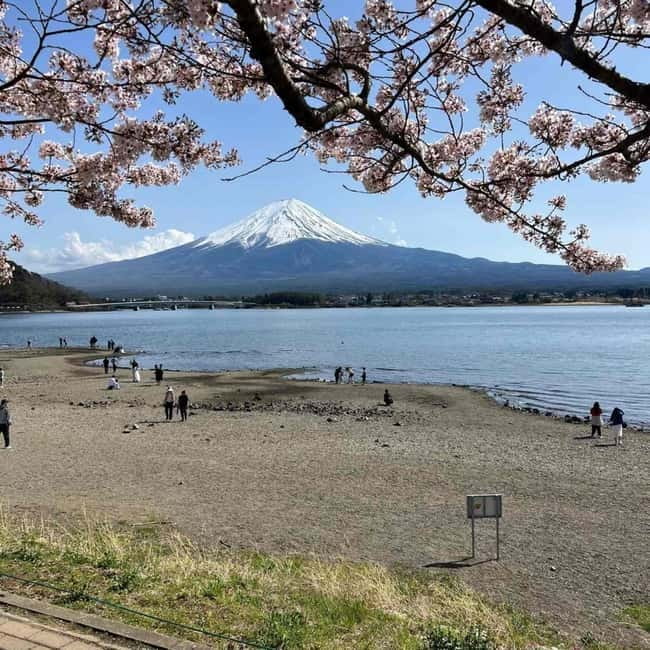 From Tokyo: Mount Fuji Full-Day Private Tour (Customizable) - Lake Kawaguchiko: the Fuji reflection stop you plan around