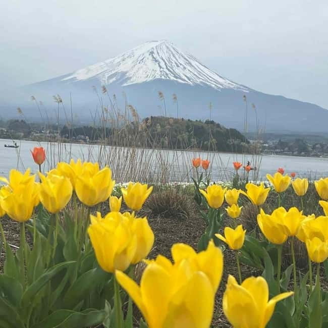From Tokyo: Mount Fuji Full-Day Private Tour (Customizable) - Mount Fuji 5th or 6th Station: the weather gamble that can pay off