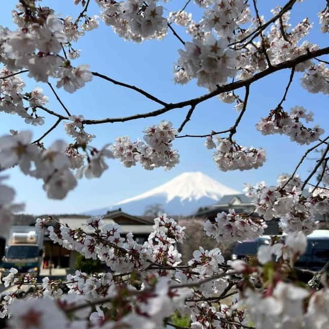 From Tokyo: Mount Fuji Full-Day Private Tour (Customizable) - Customizing the order, not just the stops