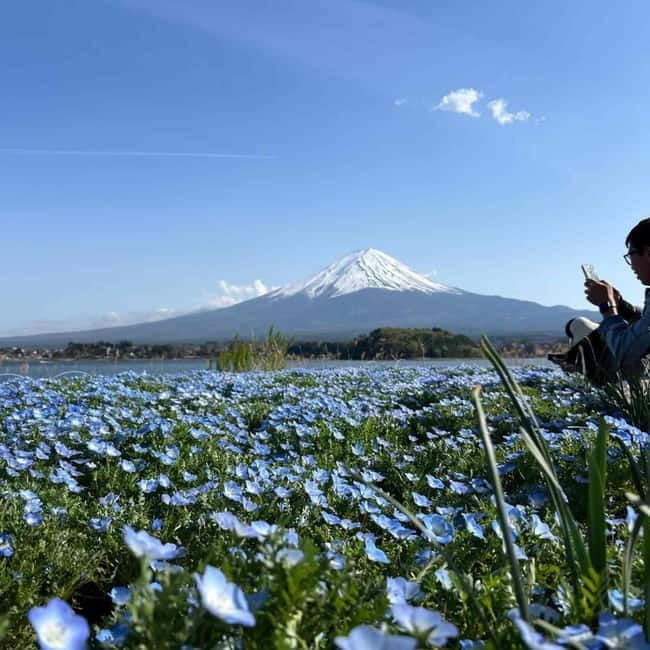 From Tokyo: Mount Fuji Full-Day Private Tour (Customizable) - Comfort, WiFi, and the small details that matter on a long drive