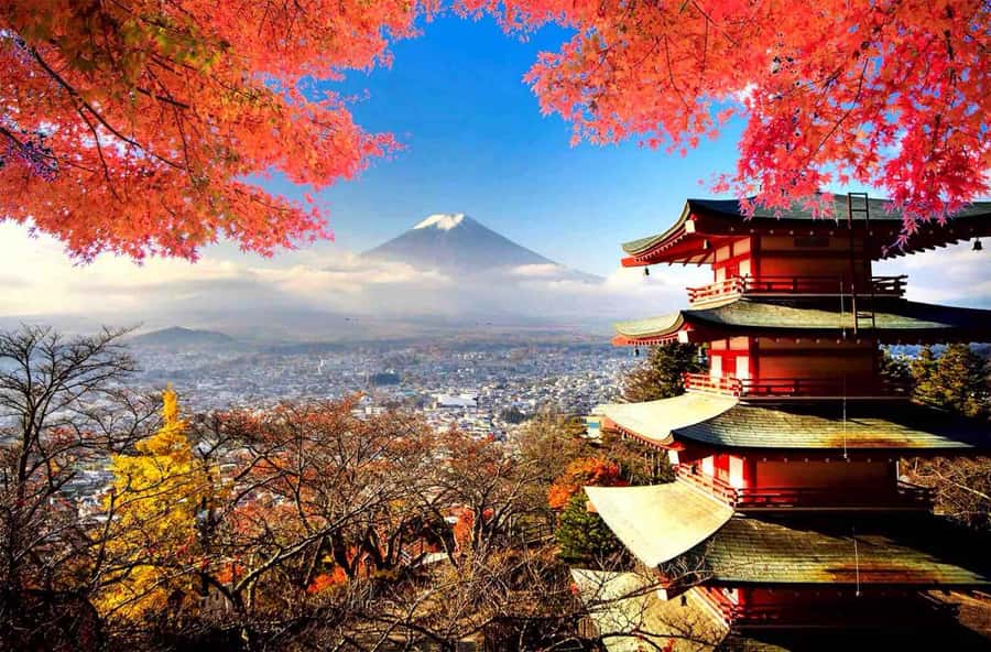 From Tokyo: Mount Fuji Full Day Private Tour English Guide - Chureito Pagoda: the Fuji frame you want to see first