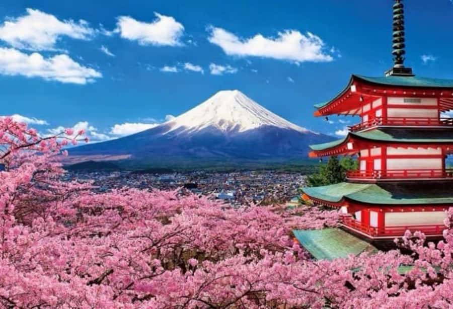 From Tokyo: Mount Fuji Full Day Private Tour English Guide - Lake Kawaguchi and Oishi Park: classic views with room to breathe