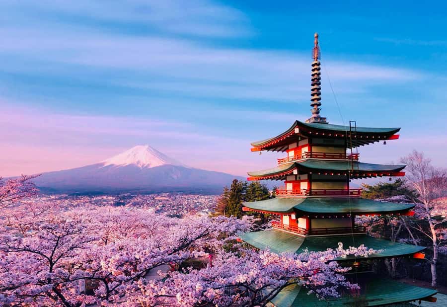 From Tokyo: Mount Fuji Full Day Private Tour English Guide - What you get for $370 per group, and how to judge the value