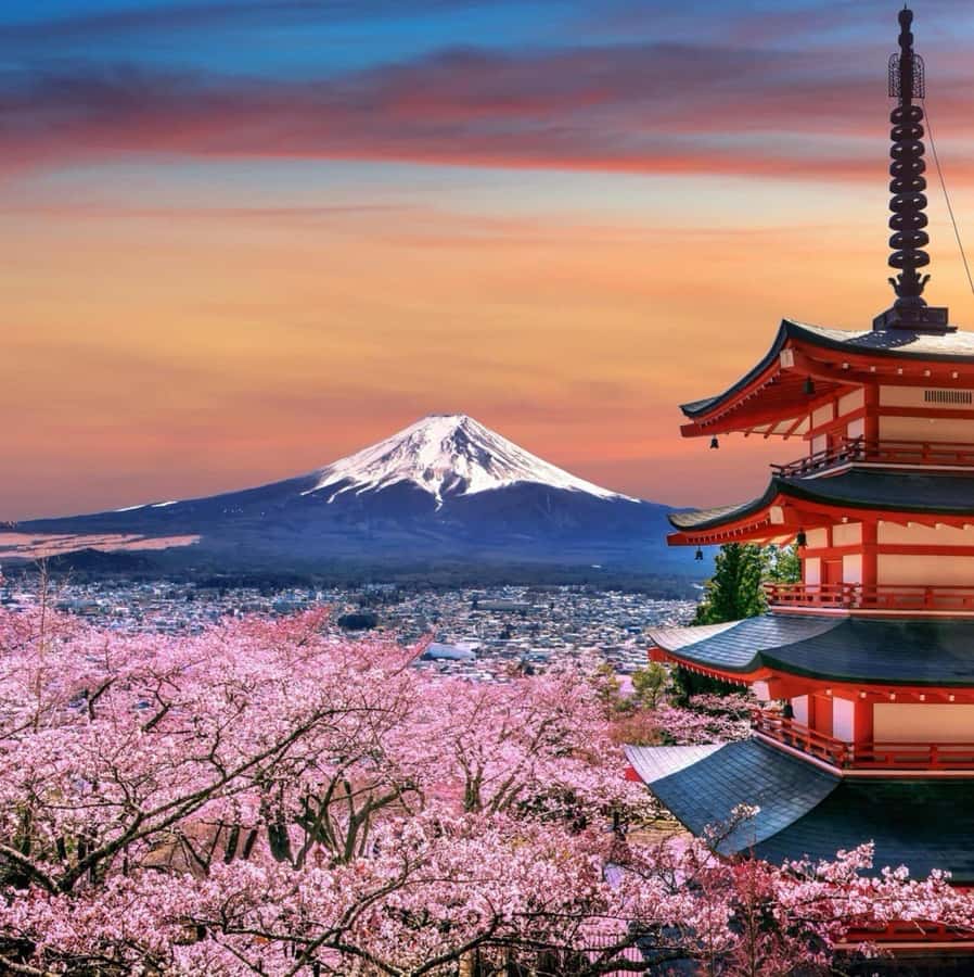From Tokyo: Mount Fuji Full Day Private Tour English Guide - Timing, weather, and the 5th Station closure reality