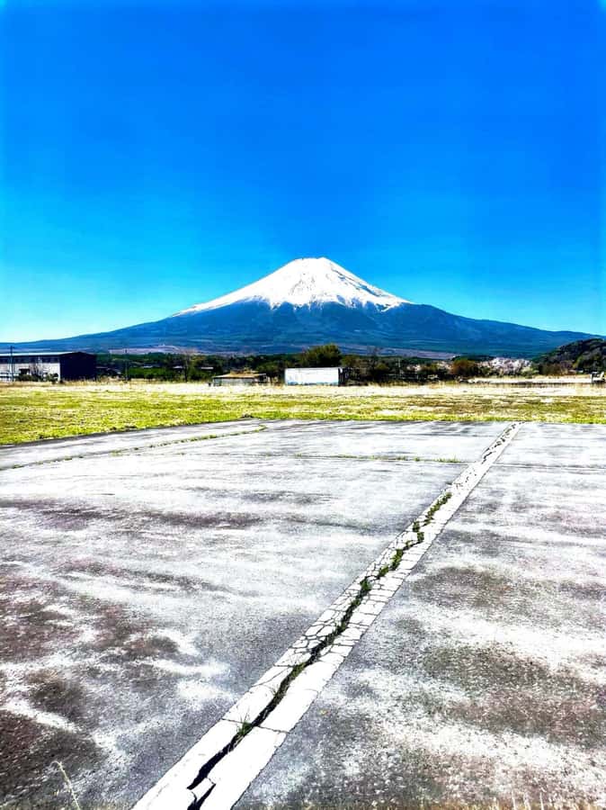 From Tokyo: Mount Fuji Full Day Private Tour English Guide - Mt. Fuji 5th Station (2,300 meters): worth it when the mountain is visible