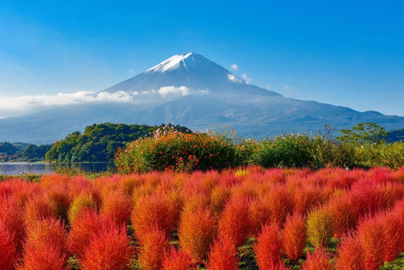 From Tokyo: Mount Fuji Full-Day Sightseeing Trip - Why This Mount Fuji Day Trip From Tokyo Feels Worth It