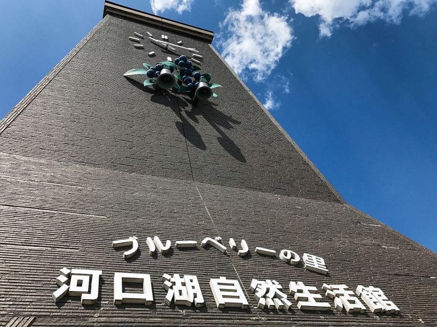 From Tokyo: Mount Fuji Full-Day Sightseeing Trip - Getting the Most From the Day: Timing, Weather, and Photo Habits