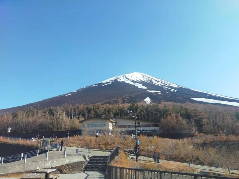 From Tokyo: Mount Fuji Full-Day Sightseeing Trip - Price and Value: What $68 Buys You (and What It Does Not)