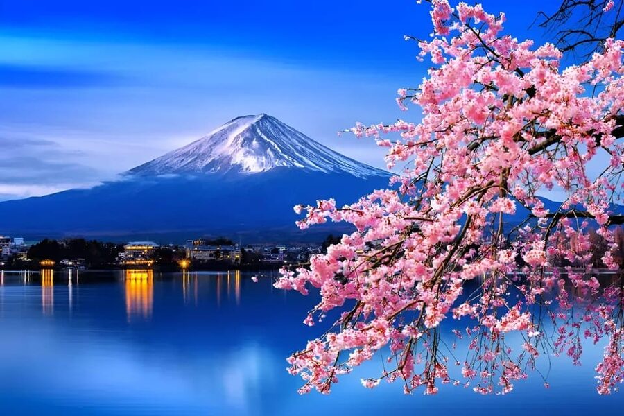 From Tokyo: Mount Fuji & Hakone Full Day Private Tour - Saiko Iyashi-no-Sato Nenba: Thatched Roof Japan, Without the Rush
