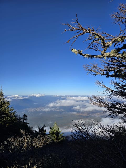 From Tokyo: Mount Fuji & Hakone Full Day Private Tour - Hakone Owakudani and the Ropeway to the Lake Area