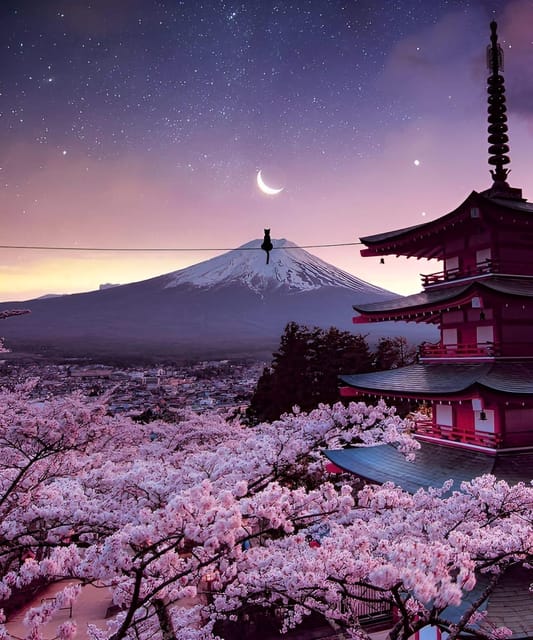 From Tokyo: Mount Fuji & Hakone Full Day Private Tour - Hakone Shrine and Lake Ashi: Closing With Views That Reward the Drive