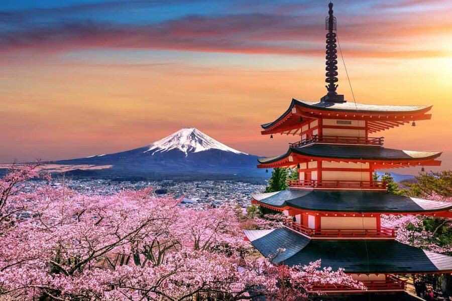 From Tokyo: Mount Fuji Highlights Private Tour - Food and timing: how lunch fits the whole day