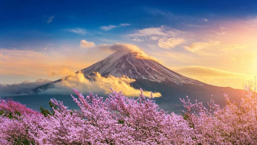 From Tokyo: Mount Fuji Highlights Private Tour - Walking, comfort, and who this tour suits best