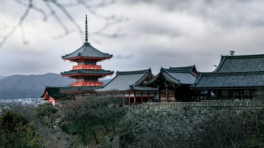 From Tokyo: Mount Fuji or Hakone+Gotemba Outlet Day Tour 10H - Who This Tour Fits Best