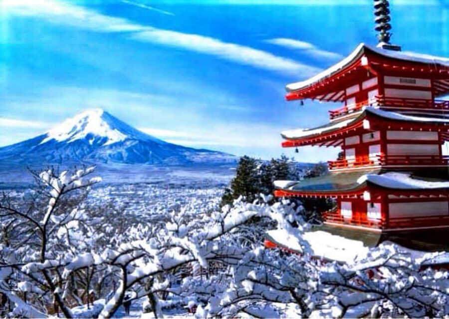 From Tokyo:Mount Fuji Private Customizable Tour With English - Chureito Pagoda, Saiko Iyashi-no-Sato Nenba, and Lake Yamanaka: picking your “Fuji mood”
