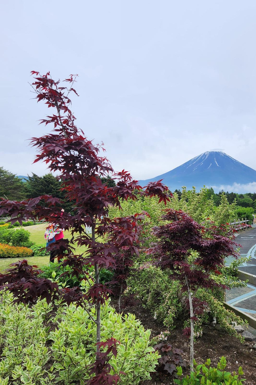 From Tokyo:Mount Fuji Private Customizable Tour With English - Kitaguchi-hong Fuji Sengen Shrine Complex: Mt. Fuji with a spiritual lens