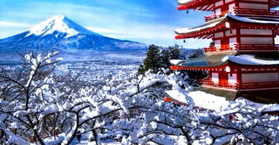 From Tokyo:Mount Fuji Private Customizable Tour With English - Hakone options: ropeway, Owakudani, Lake Ashi cruise, and museums