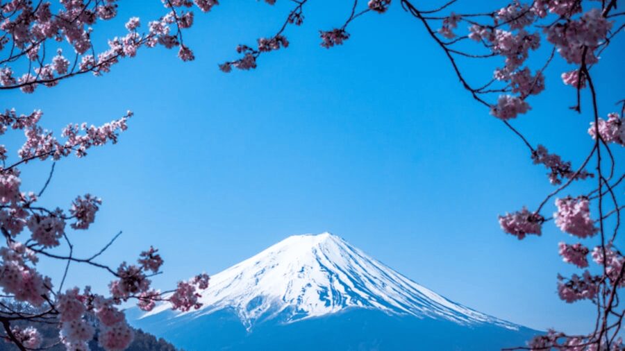 From Tokyo:Mount Fuji Private Customizable Tour With English - Price and value: what $364 per group includes, and what you’ll pay later
