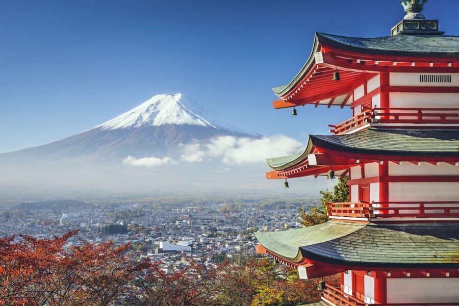 From Tokyo: Mount Fuji Private Day Tour - Who this private Fuji day tour is best for