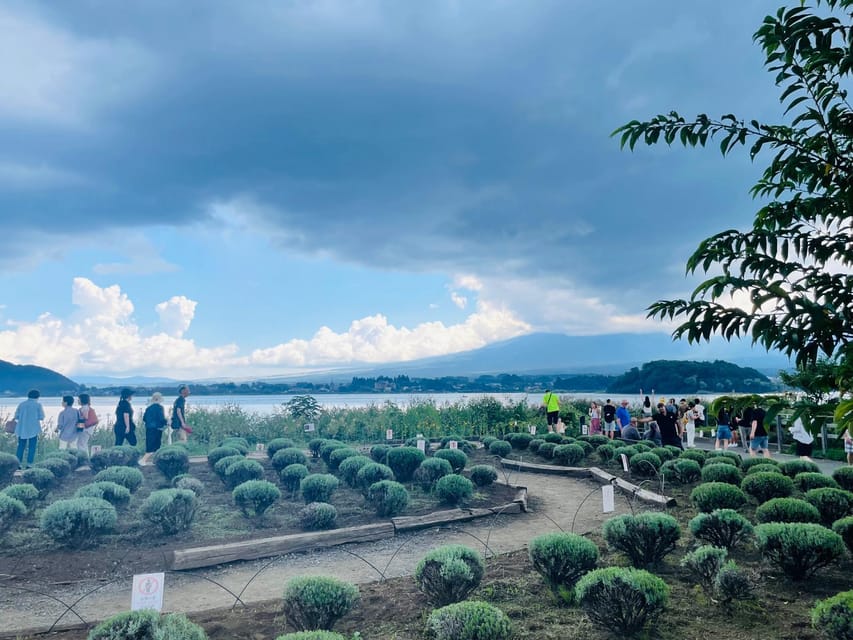 From Tokyo:Mount Fuji private day tour with English driver - Key Things I’d Plan Around (and You’ll Thank Yourself For)