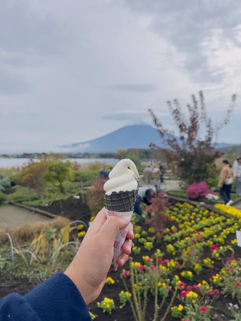 From Tokyo:Mount Fuji private day tour with English driver - Mount Fuji, But With a Real Day Plan From Tokyo