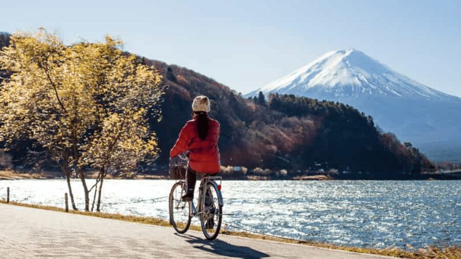 From Tokyo:Mount Fuji private day tour with English driver - Kawaguchiko Oishi Park: Where Your First Real Fuji Photos Happen