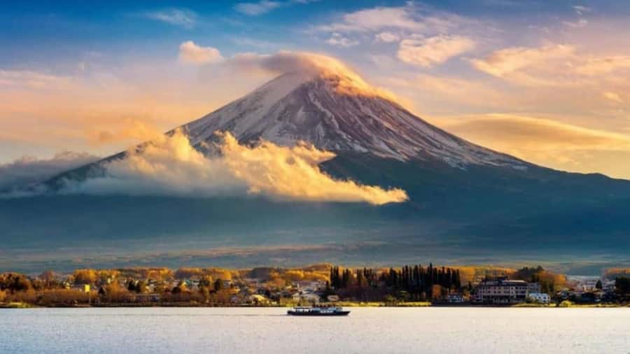 From Tokyo : Mount Fuji Private Day Tour with English Driver - Gotemba Premium Outlets: Shopping With a Fuji Backdrop
