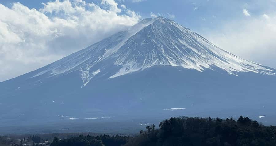 From Tokyo : Mount Fuji Private Day Tour with English Driver - Mount Fuji 5th Station: High Views, Cold Wind Risk, and Shuttle Fees