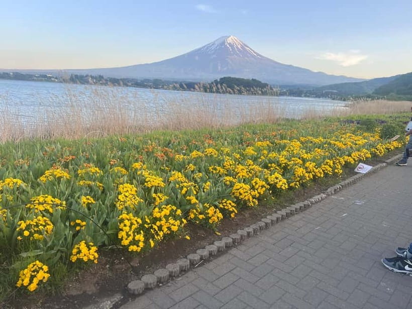 From Tokyo: Mount Fuji Private Tour with a Driver/Guide - A Private Fuji Day From Tokyo That Feels Like Your Schedule