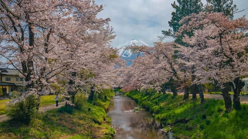 From Tokyo: Mount Fuji Private Tour with a Driver/Guide - Mount Fuji 5th Station: The Most Weather-Dependent Stop