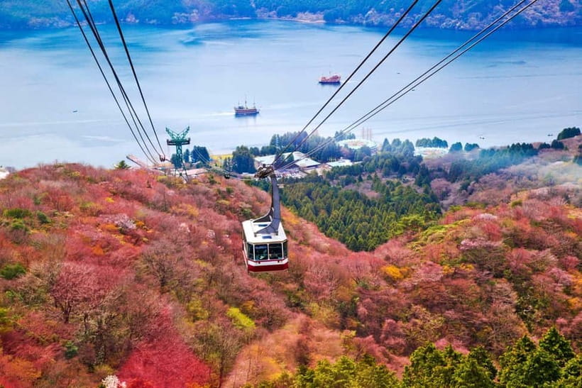 From Tokyo: Mount Fuji Private Tour With English Guide - Mt. Fuji 5th Station: highest vehicle-access viewpoint