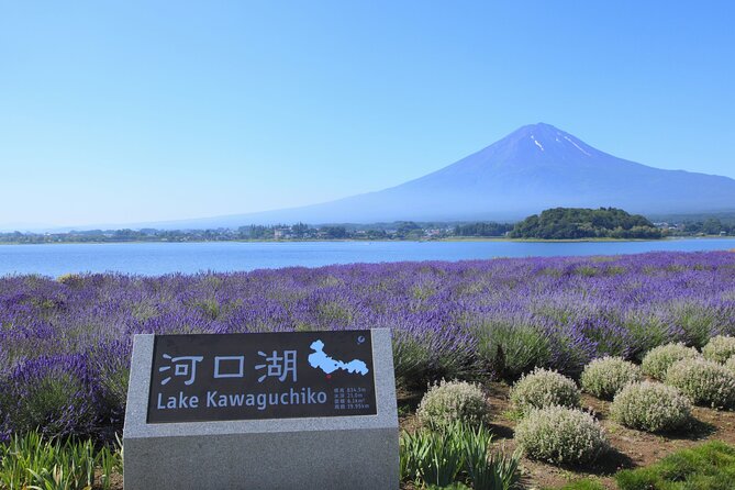From Tokyo: Mount Fuji Sightseeing Full Day Trip - From Tokyo to Fuji Five-Lakes Country in One Long, Air-Conditioned Day