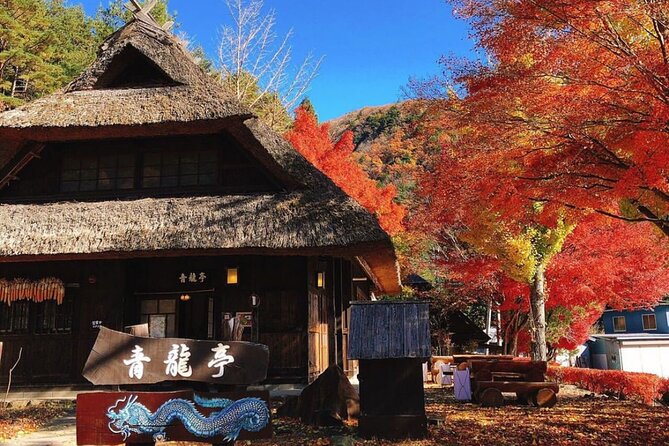 From Tokyo: Mount Fuji Sightseeing Full Day Trip - Lake Kawaguchiko, Oishi Park, and the Natural Living Center Torii Shot