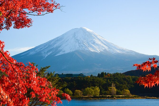From Tokyo: Mount Fuji Sightseeing Full Day Trip - Saiko Iyashi-no-Sato Nenba: Thatched Roofs and Slow Atmosphere